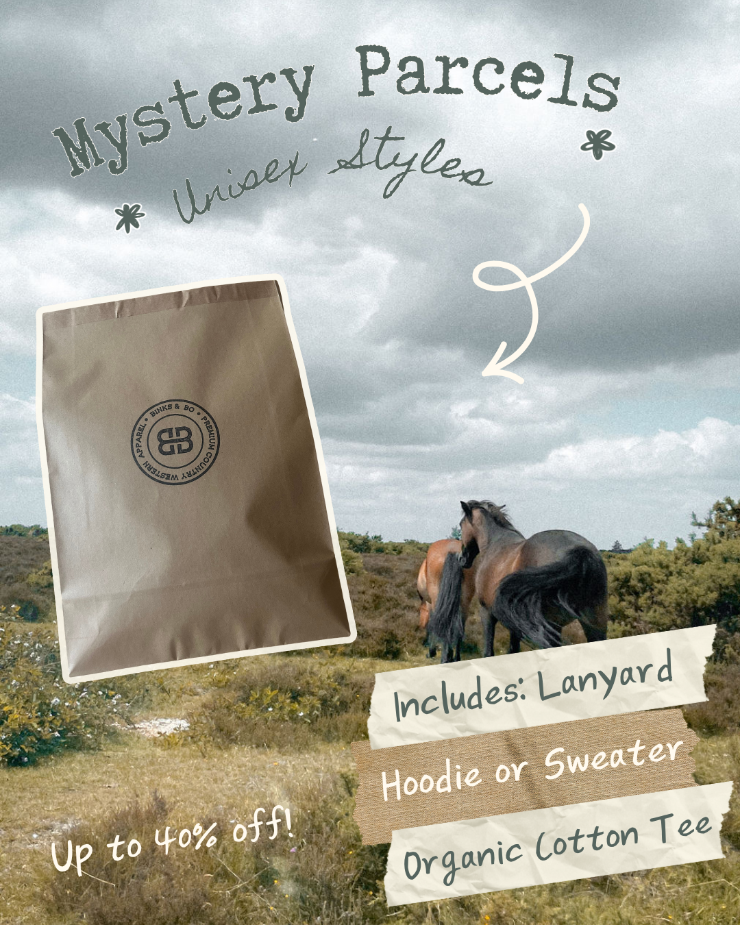 Mystery Parcels
